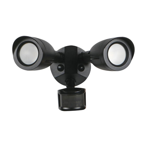 LED 2 BULLET HEAD SECURITY LGT