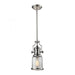 Chadwick 1-Light Mini Pendant in Polished Nickel with Seedy Glass