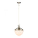 Mid-Century Schoolhouse 1-Light mini pendant in  Satin Nickel