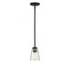 Calhoun 1 Light  Matte Black Small Mini-Pendant