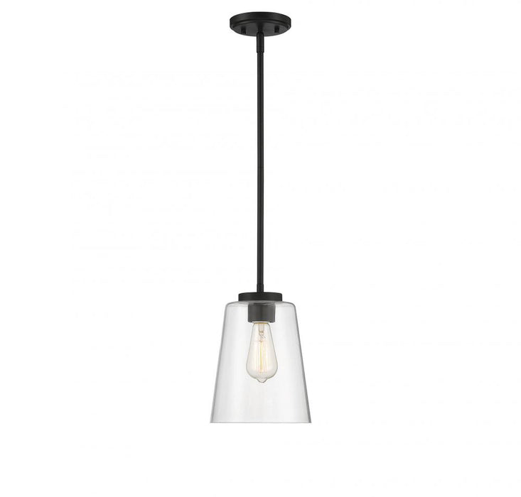 Calhoun 1 Light  Matte Black Large Mini-Pendant