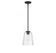 Calhoun 1 Light  Matte Black Large Mini-Pendant