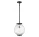 Welles 1 Light Matte Black Pendant