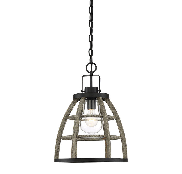 Luisa 1 Light Outdoor Pendant