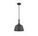 Berg Matte Black 1 Light Pendant