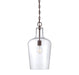 Franklin 1 Light Pendant