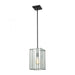 Lucian 1-Light Mini Pendant in Oil Rubbed Bronze with Clear Glass