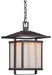 1 LIGHT OUTDOOR LED CHAIN HUNG LANTERN