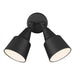 FLOOD LIGHT 2L WALL-12