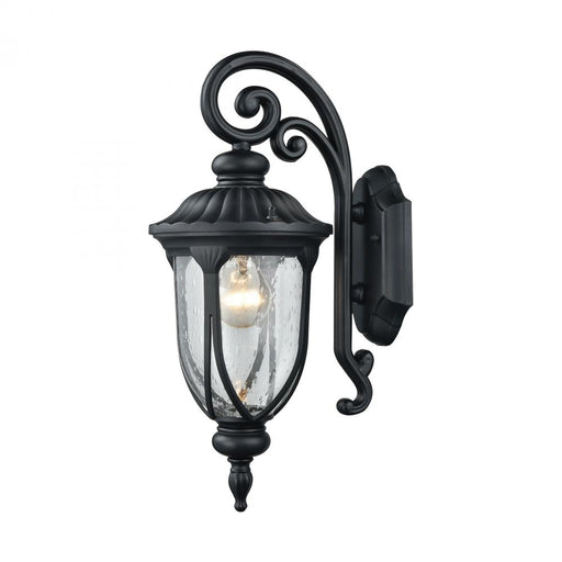 Derry Hill 1-Light Outdoor Wall Lamp in Matte Black