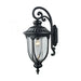 Derry Hill 1-Light Outdoor Wall Lamp in Matte Black