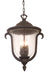 Santa Barbara Outdoor 3 Light Medium Hanging Lantern