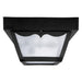 2 Light Outdoor Flush Mount