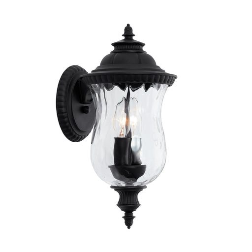 2 Light Outdoor Wall Lantern