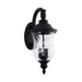 2 Light Outdoor Wall Lantern