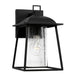 1 Light Outdoor Wall Lantern