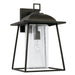 1 Light Outdoor Wall Lantern