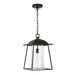 1 Light Outdoor Hanging Lantern