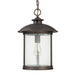 1 Light Outdoor Hanging Lantern