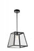 1 Light Down Mini Pendant with Black finish