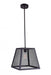 1 Light Down Mini Pendant with Black finish