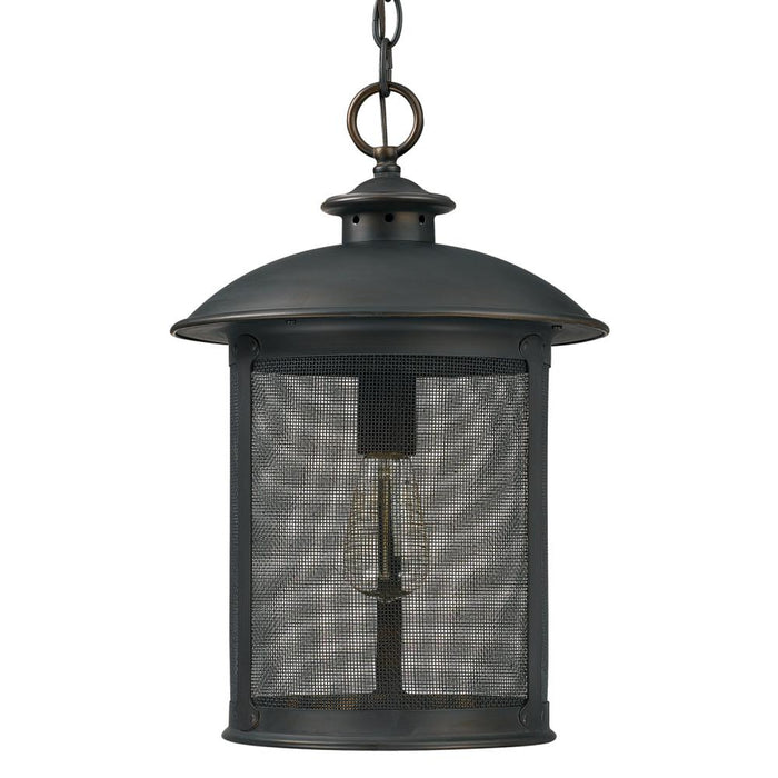 1 Light Outdoor Hanging Lantern