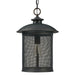 1 Light Outdoor Hanging Lantern