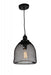 1 Light Down Pendant with Black finish