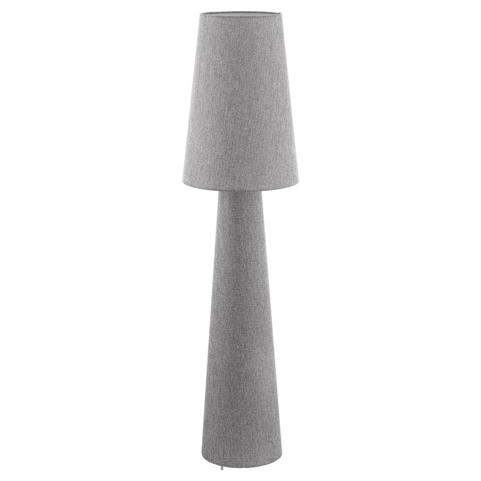 Carpara 2-Light Floor Lamp