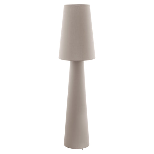 Carpara 2-Light Floor Lamp