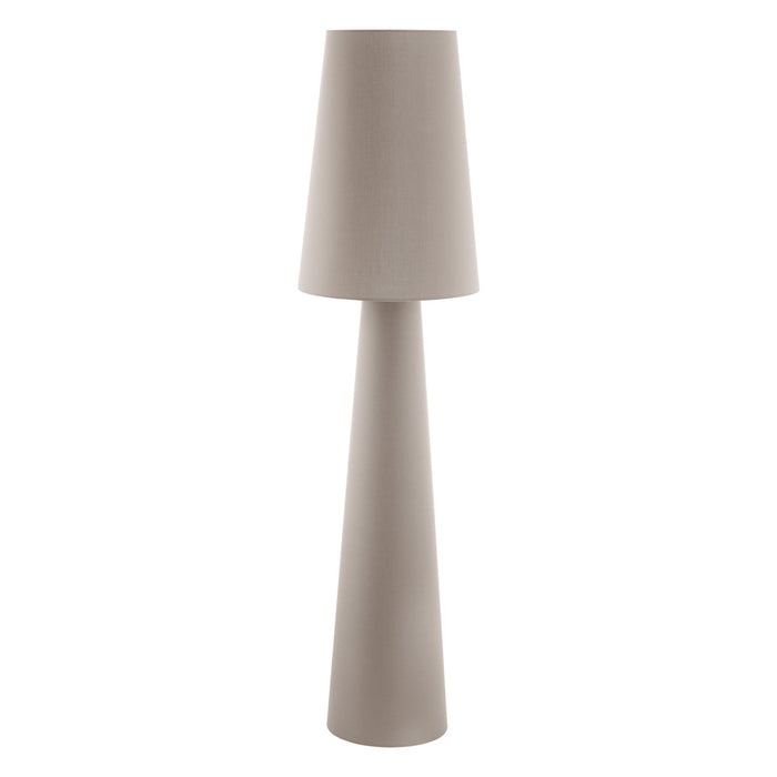 Carpara 2-Light Floor Lamp