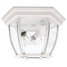 3 Light Outdoor Flush Mount