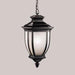 Outdoor Pendant 1Lt