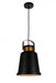 1 Light Down Pendant with Black finish