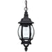 1 Light Outdoor Hanging Lantern