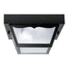 1 Light Outdoor Flush Mount