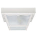 2 Light Outdoor Flush Mount