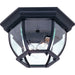 Classico AC8096BK Outdoor Ceiling Light