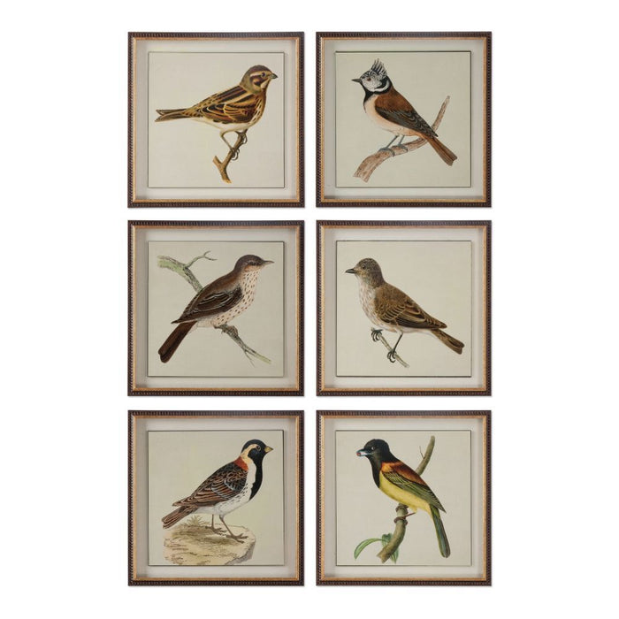 Uttermost Spring Soldiers Bird Prints, S/6