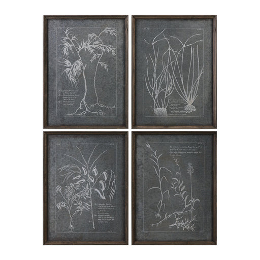 Uttermost Root Study Print Art S/4