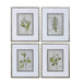 Uttermost Stem Study Framed Prints Set/4