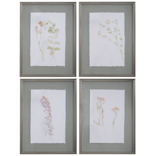 Uttermost Flourish Framed Botanical Prints S/4