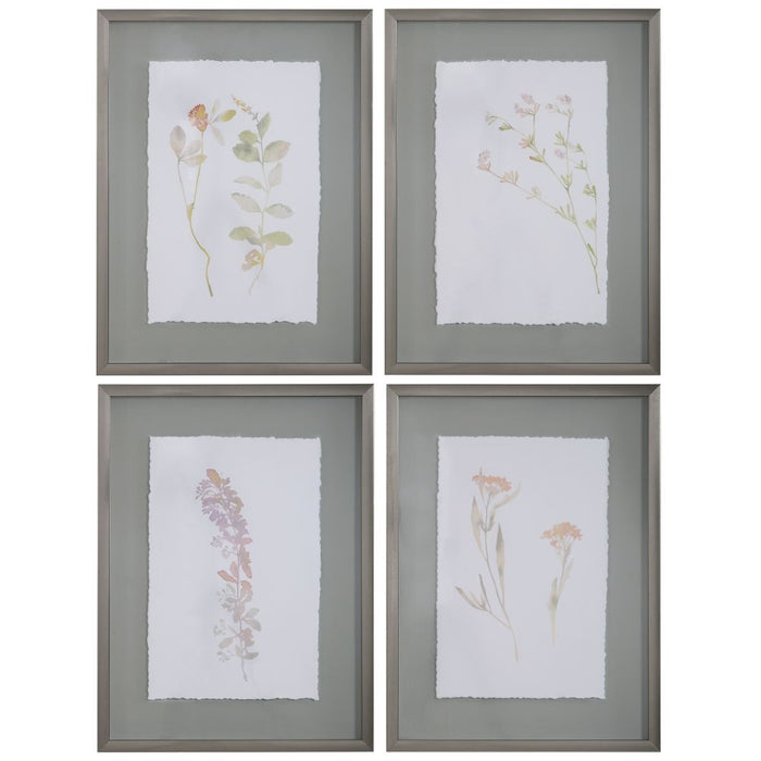 Uttermost Flourish Framed Botanical Prints S/4