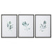 Uttermost Simple Sage Watercolor Prints, S/3
