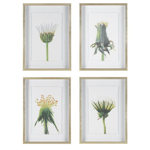 Uttermost Wildflowers Gold Framed Prints, S/4