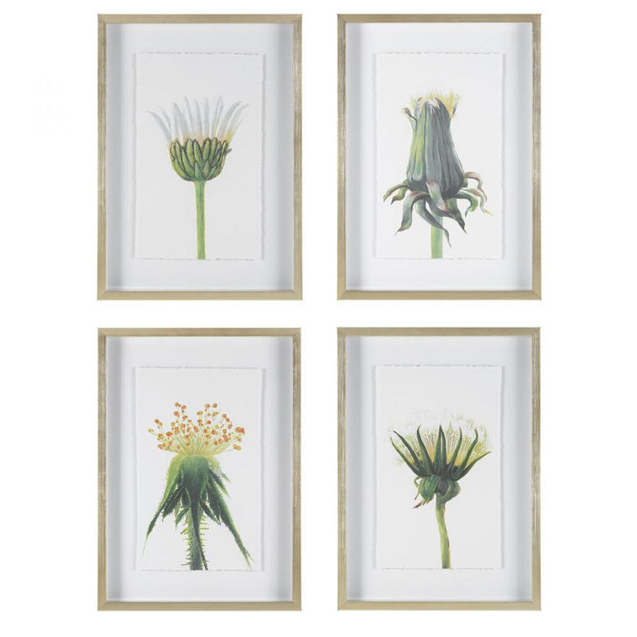 Uttermost Wildflowers Gold Framed Prints, S/4