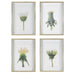 Uttermost Wildflowers Gold Framed Prints, S/4