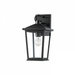 1 LIGHT SMALL EXTERIOR WALL SCONCE