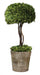 Uttermost Tree Topiary Preserved Boxwood