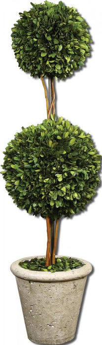 Uttermost Two Sphere Topiary Preserved Boxwood